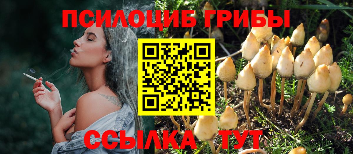 Галлюциногенные грибы мицелий Ипатово