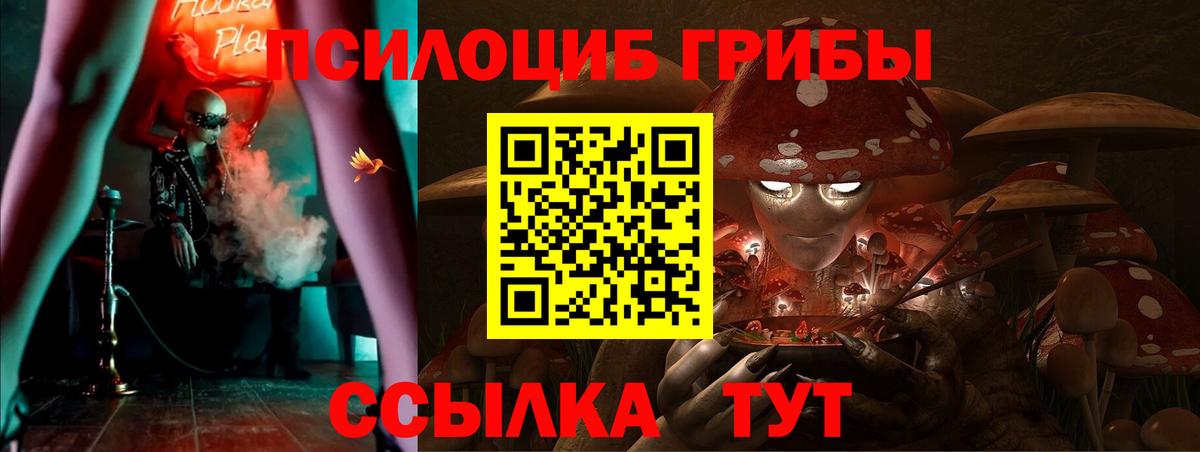 Галлюциногенные грибы прущие грибы  Вход с VPN  Ипатово 